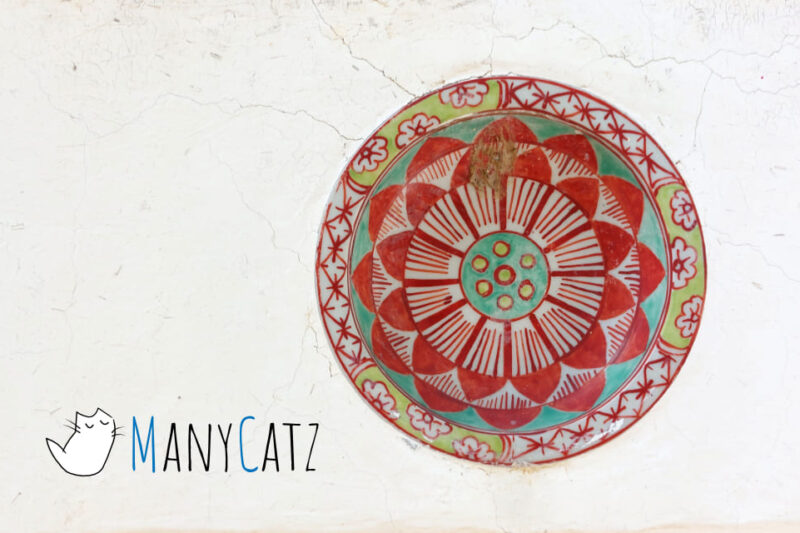 ขับรถเล่นไปอยุธยา ตอน 3 : วัดแม่นางปลื้ม ผ่านประตูข้ามมิติ