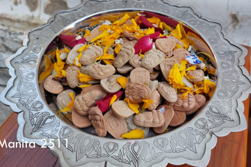 ททท พาเที่ยวสุพรรณบุรี ถูกใจสายมู : พาเที่ยวด้วยภาพถ่าย ตอน 1 วัดป่าเลไลยก์วรวิหาร